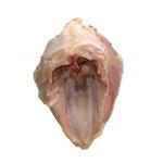 Chicken Breast